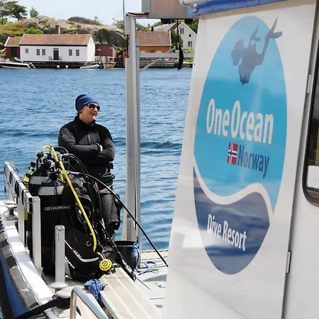 Modern At Aros, Sogne